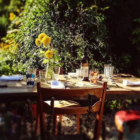 Bed & Breakfast La Cena Di Pitagora Vegan